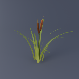 Cattail 02