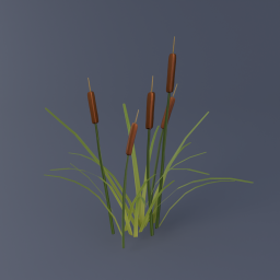 Cattail 03