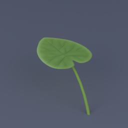 Lily Pad Single 02