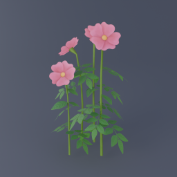 Swamp Rose 03