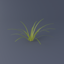 Sweet Flag 01
