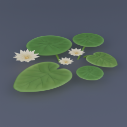 Water Lily 01