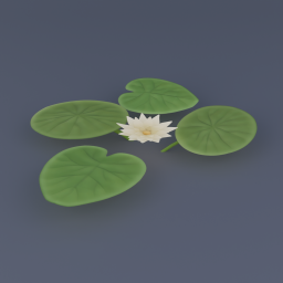 Water Lily 02