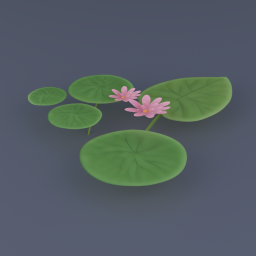Water Lily 04