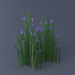 Blue-Eyed Grass 01