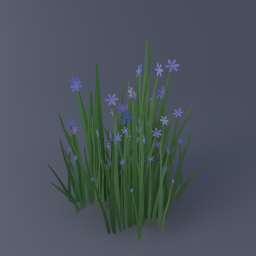 Blue-Eyed Grass 02