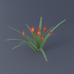 Daylily 01