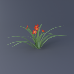 Daylily 02