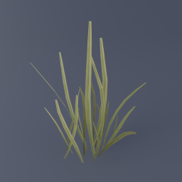 Grass A 03