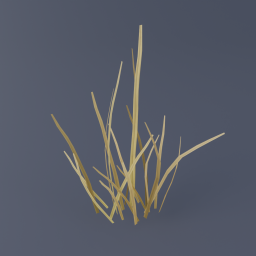 Grass B 01