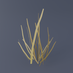 Grass B 03