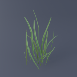 Grass C 01