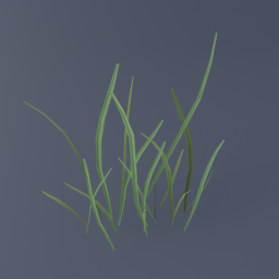 Grass C 02