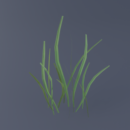 Grass C 03