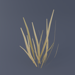 Grass D 01