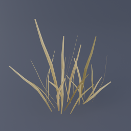 Grass D 03