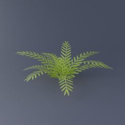 Mangrove Fern 01