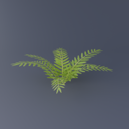 Mangrove Fern 02