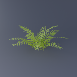 Mangrove Fern 03
