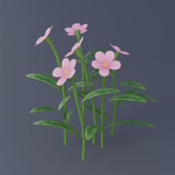 Pink Flowers 01
