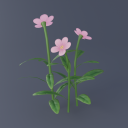 Pink Flowers 02