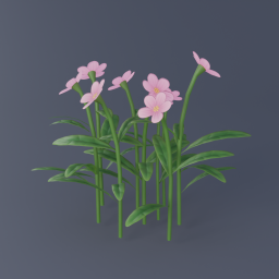 Pink Flowers 03