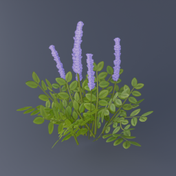 Purple Flowers 01
