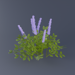 Purple Flowers 03