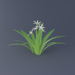 Swamp Lily 01