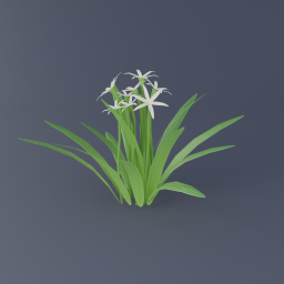 Swamp Lily 02