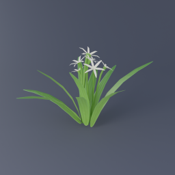 Swamp Lily 03