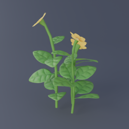 Yellow Flowers 01