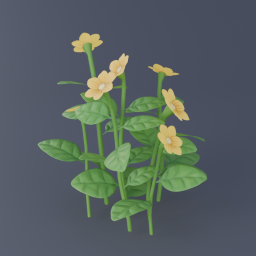 Yellow Flowers 02