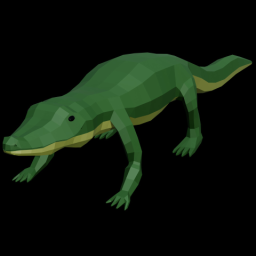 Alligator