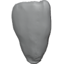 MG_-_Teeth_06