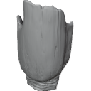 MG_-_Teeth_08