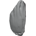 MG_-_Teeth_09