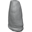 MG_-_Teeth_10