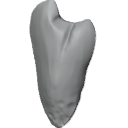 MG_-_Teeth_12