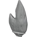 MG_-_Teeth_16