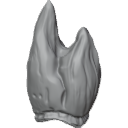 MG_-_Teeth_18
