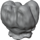 MG_-_Teeth_20