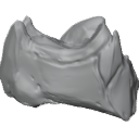 MG_-_Teeth_21