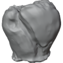 MG_-_Teeth_24