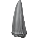 MG_-_Teeth_38