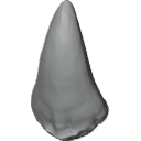 MG_-_Teeth_40