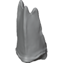 MG_-_Teeth_43