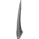 MG_-_Teeth_47