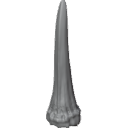MG_-_Teeth_51