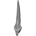 MG_-_Teeth_54